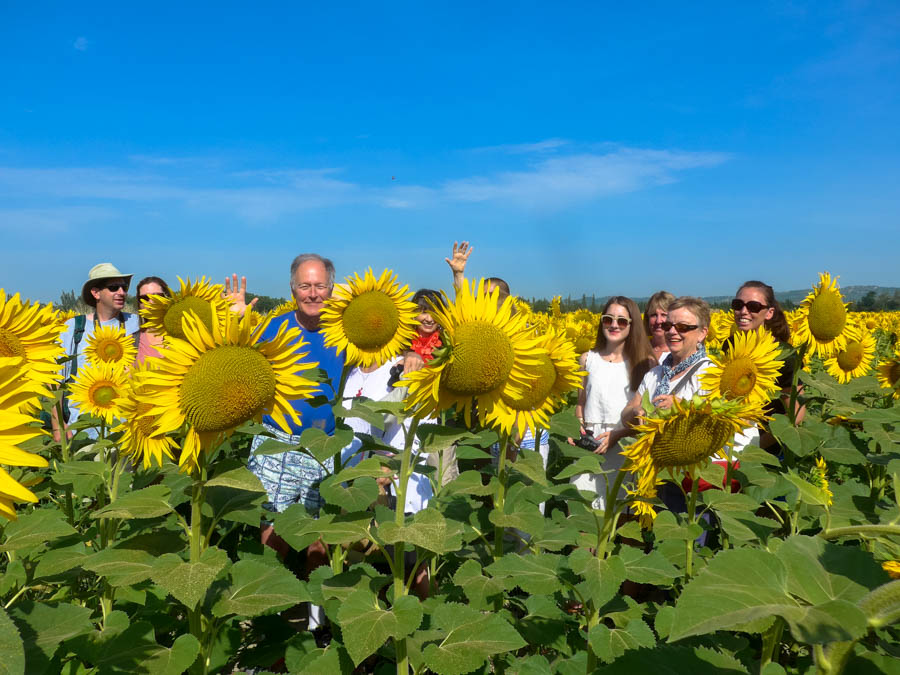 Provence Tour