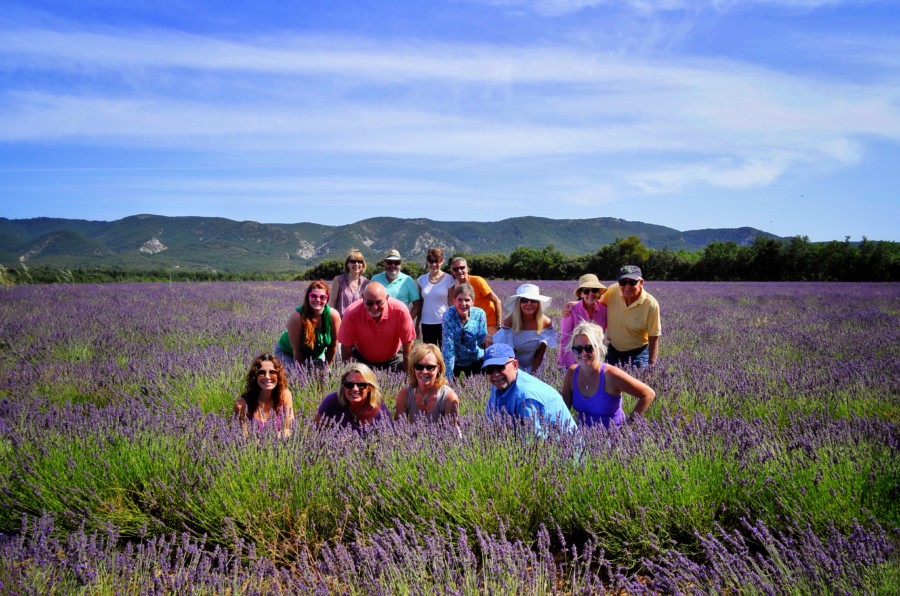 lavender tour group