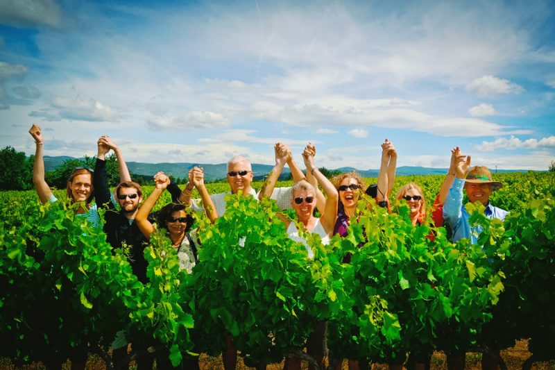 Provence walking in the vineyards