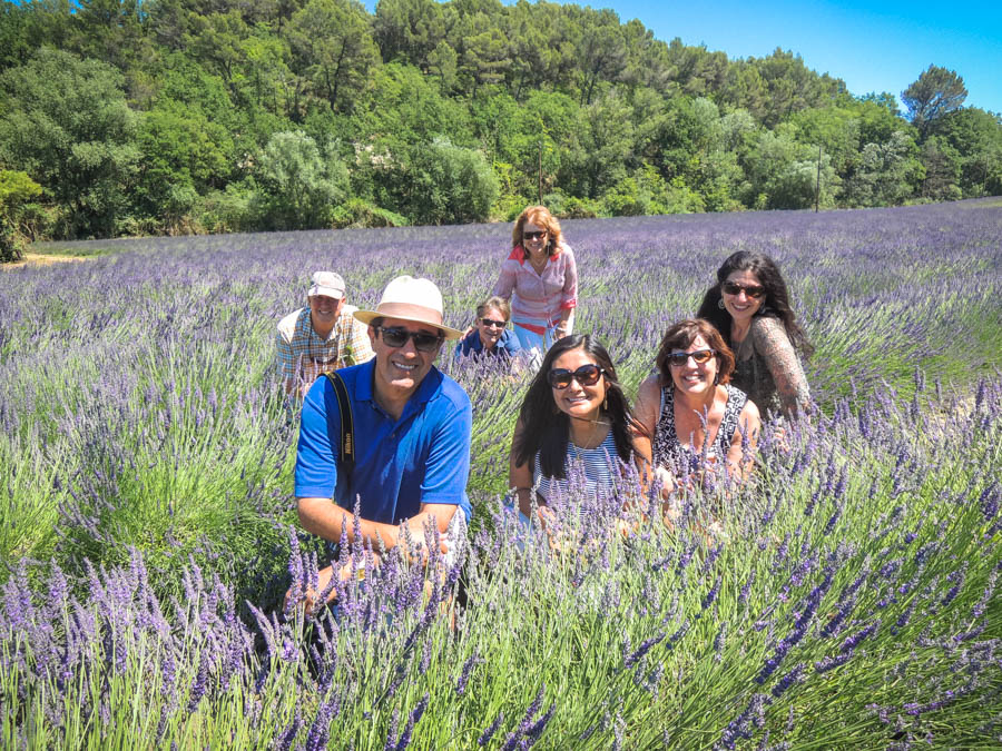 June July Provence Tour Testimonials