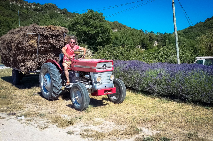 man posing on a tractor beside the lavender field