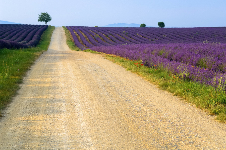 Rail Itinerary Wine Tours France Rail Itinerary Wine Tours France