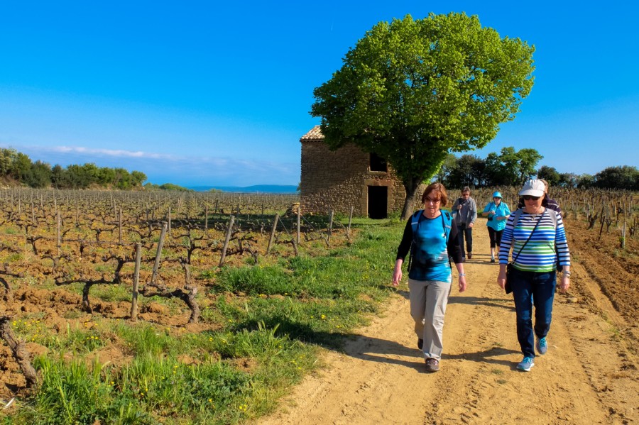 Walking France Tours Provence Walking France Tours Provence
