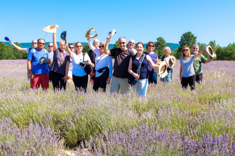 Summer in the lavender fields of Provence