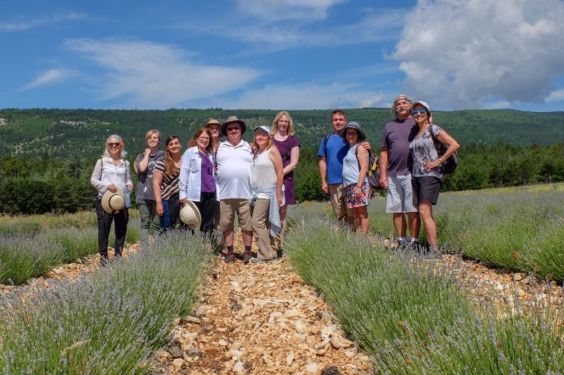 People posing in the lavender fields 