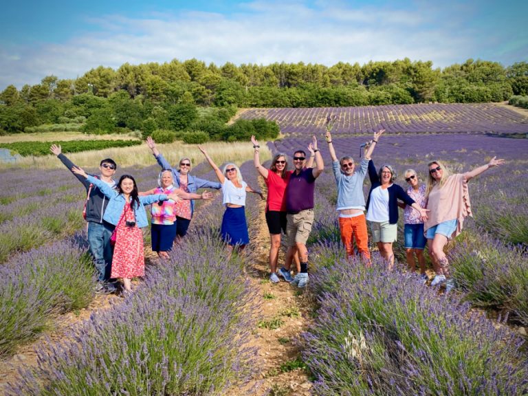 2021 Provence Lavender 768x576 