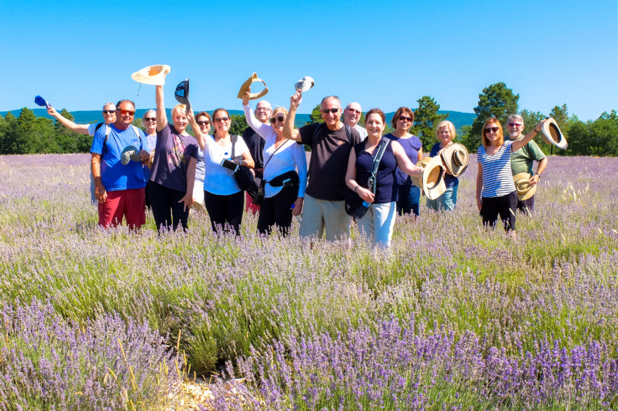 2018 2019 Provence Lavender Tour Dates!