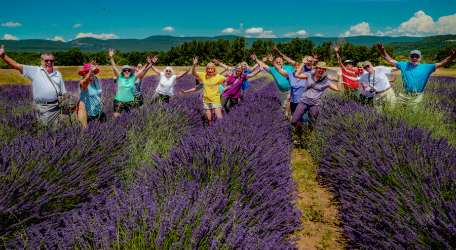 Top 10 2019 Provence Lavender Season Tour Dates 