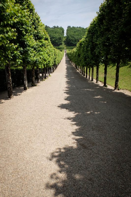 OTBP Loire Valley Tour