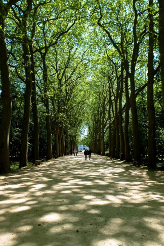OTBP Loire Valley Tour
