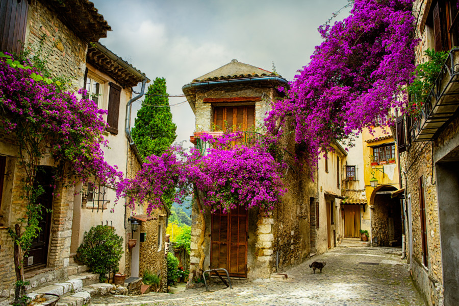 OTBP Provence Tours