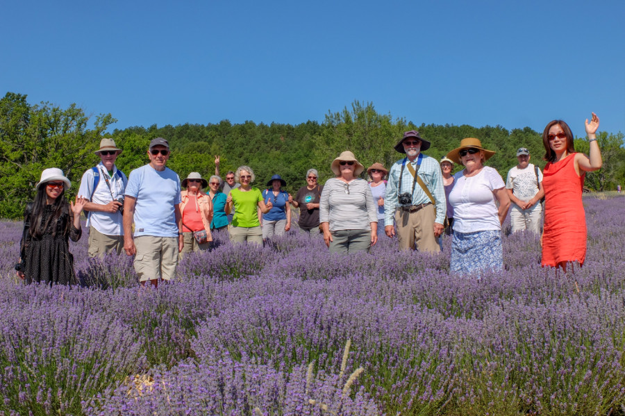 2020 Provence Lavender Tour Dates