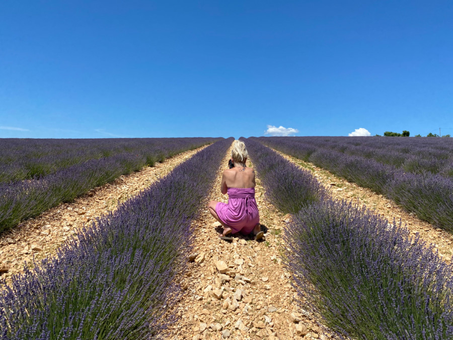 2020 Provence Lavender Season
