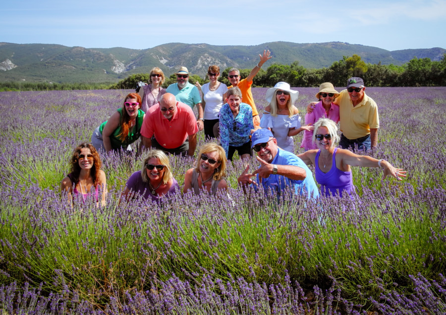 Provence Lavender Tours