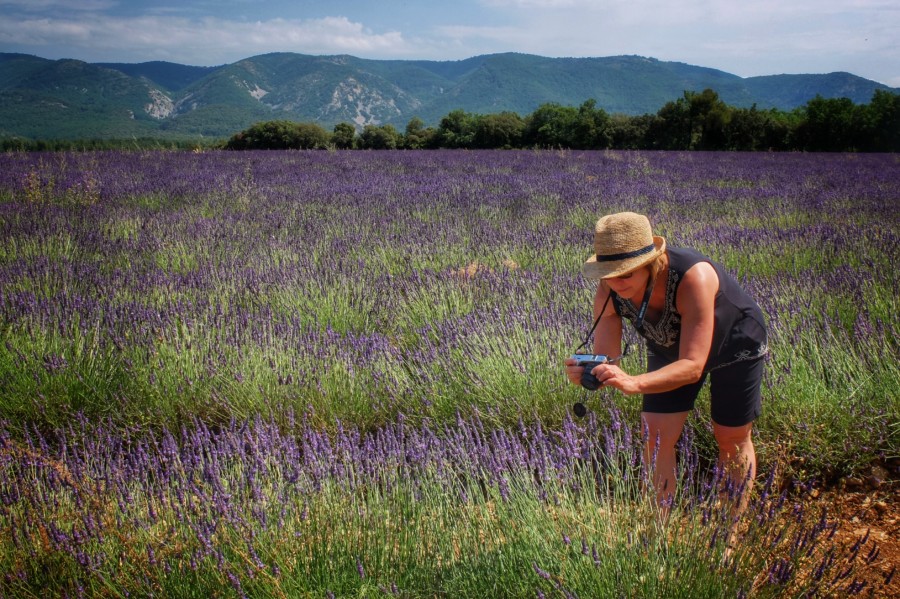 Top 2019 Tour Dates Provence Lavender Season
