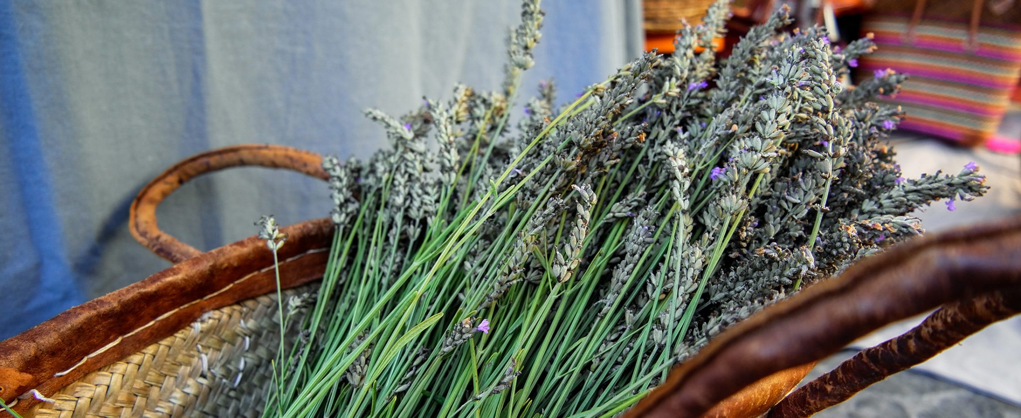 Lavender in the basket