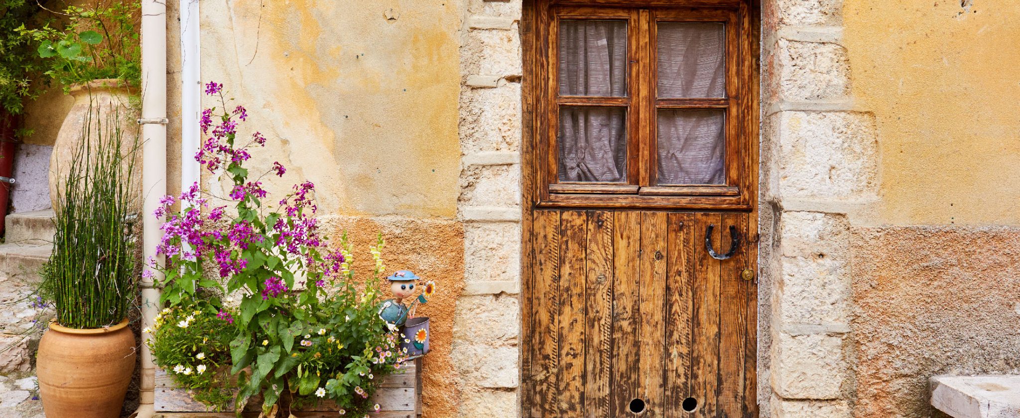 Old rustic door and walls with lavender pot in front