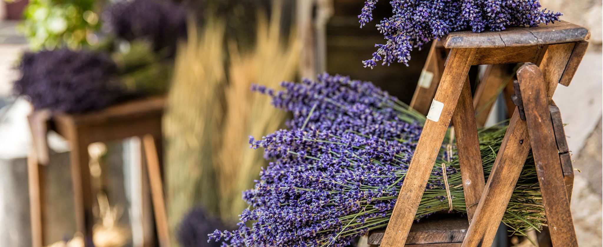 Lavender on the wooden chair