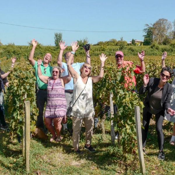 Group of happy people are walking thought vineyard within the Bordeaux Tour Itinerary