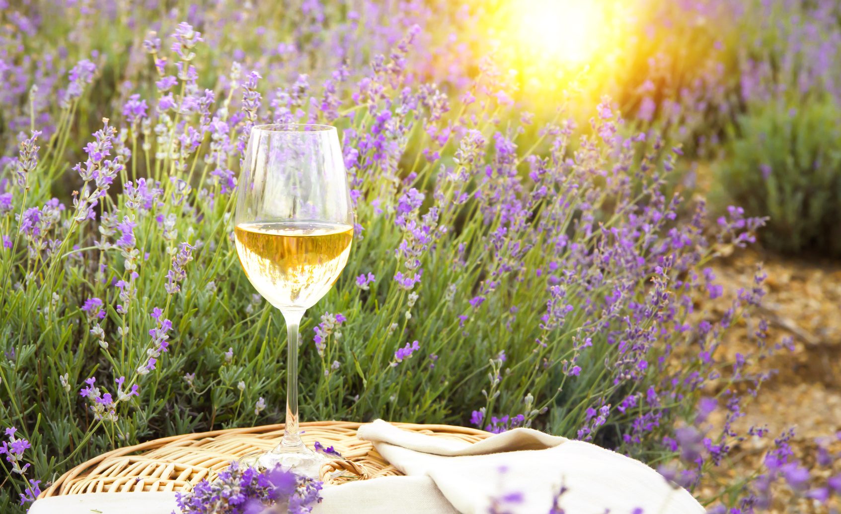 Sunset, lavender field and glass of vine - Provence walking tour