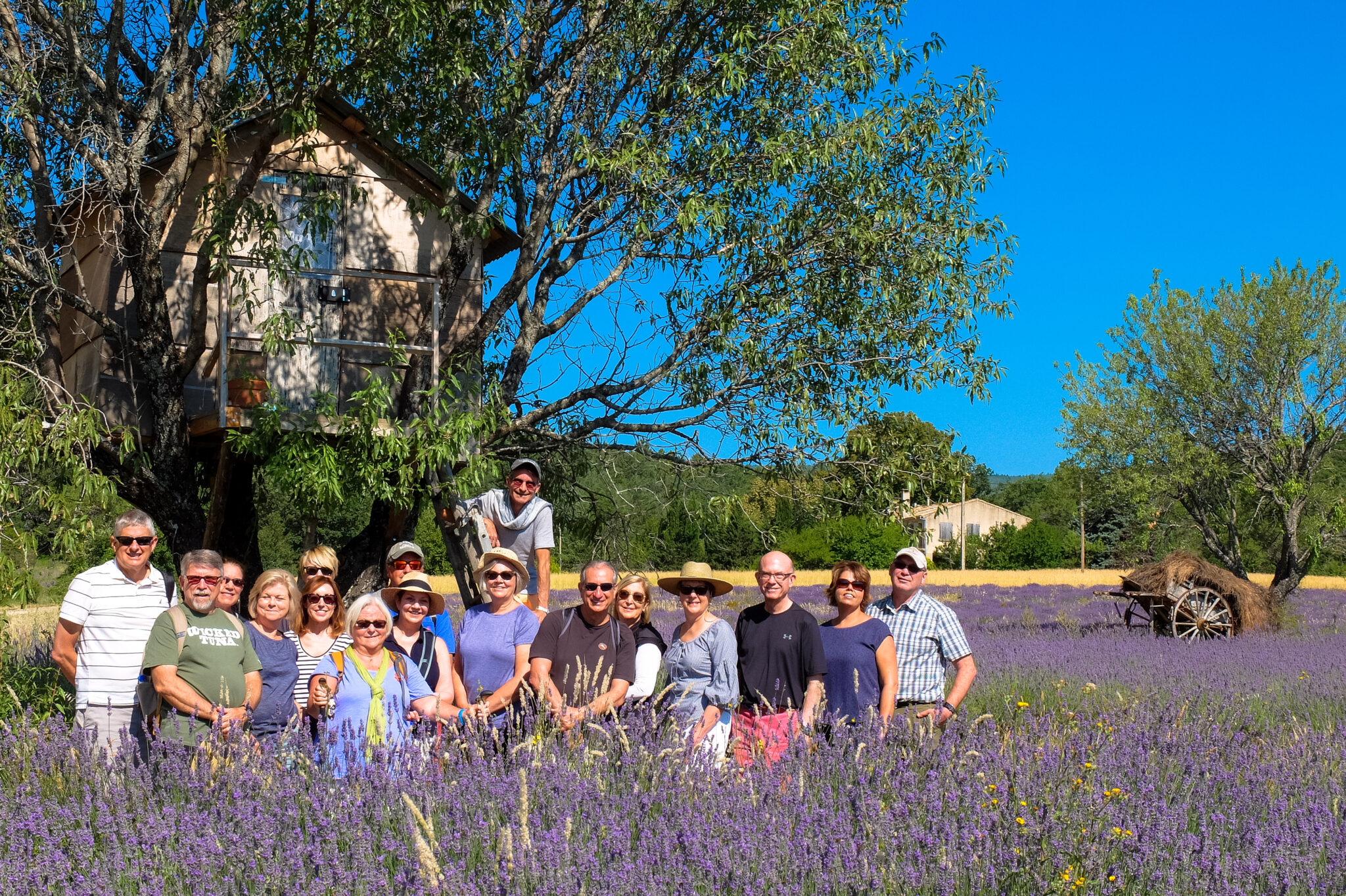 2018-July19-lavender