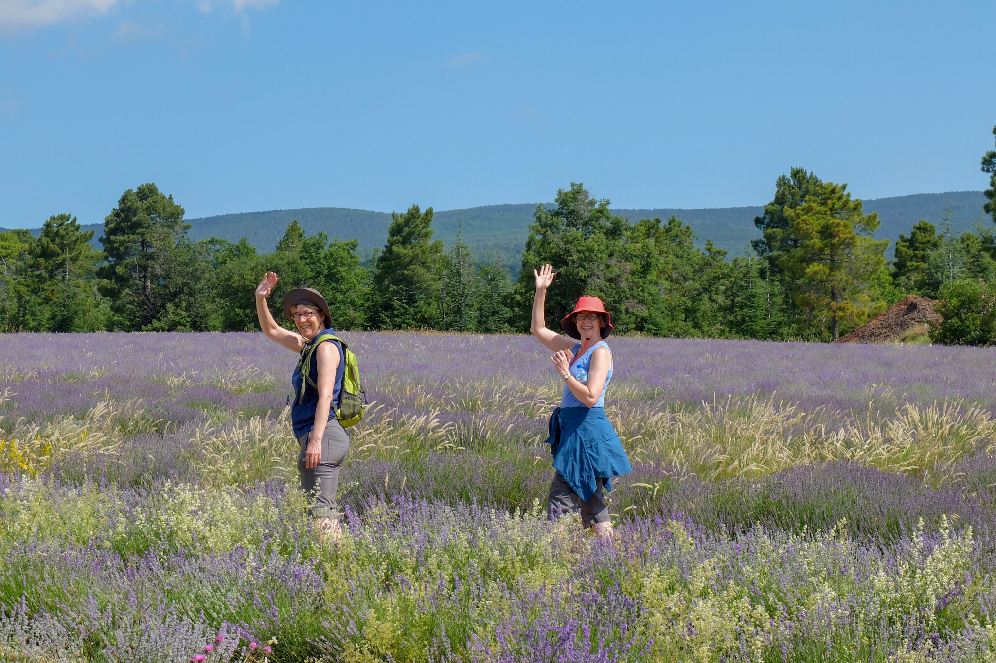 2018-June28-lavenderday-2