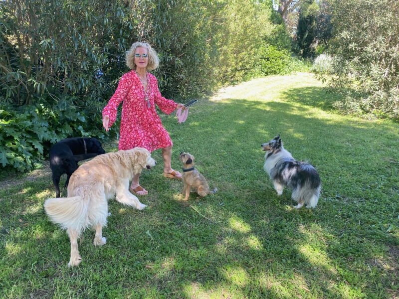 Sunday lunch with friends and our dogs in Provence