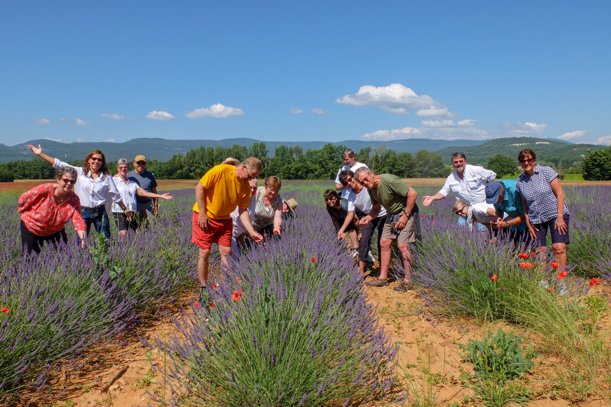 2018-Provence-June-lavender-2
