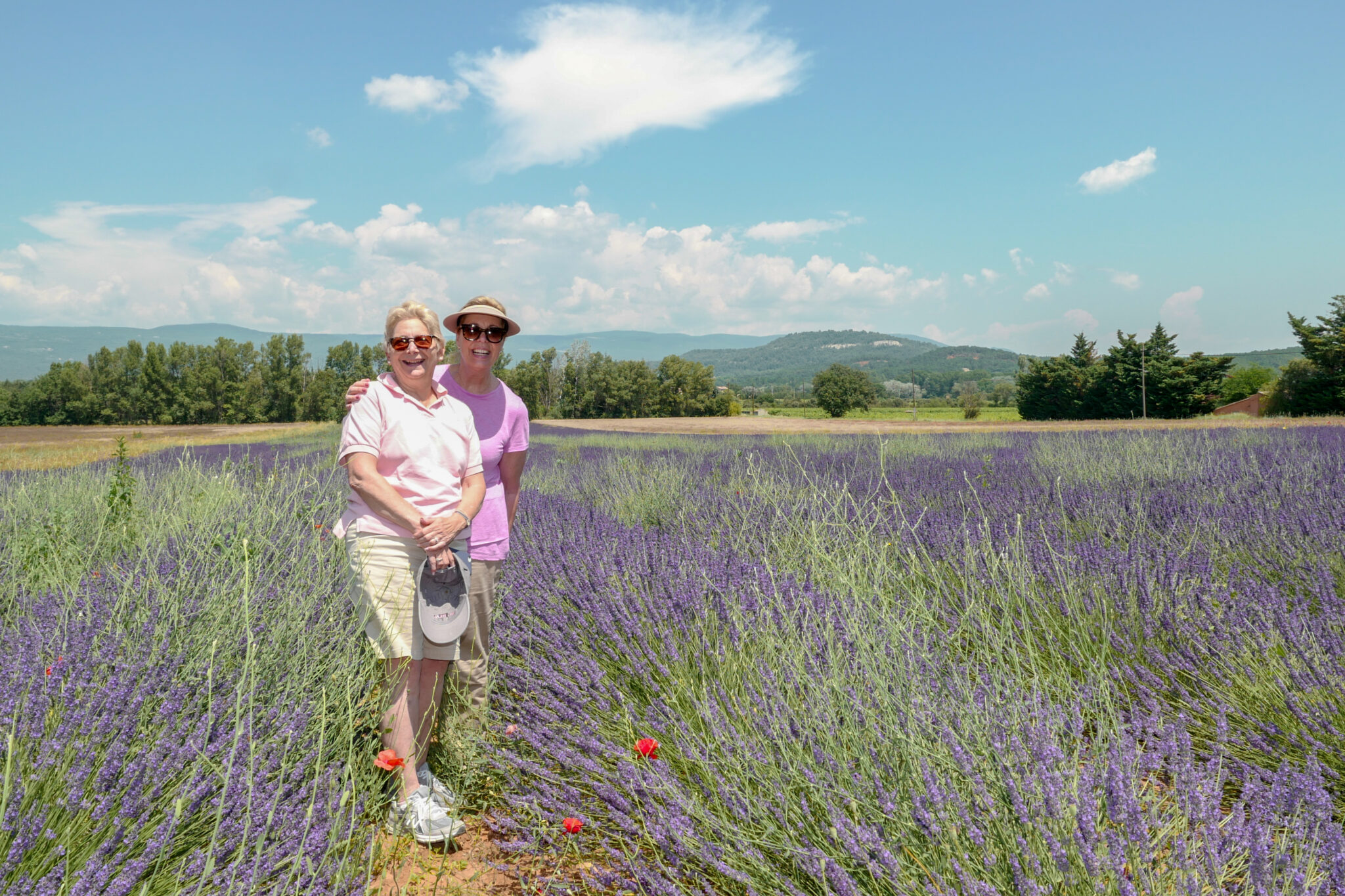 2018-Provence-lavender-2