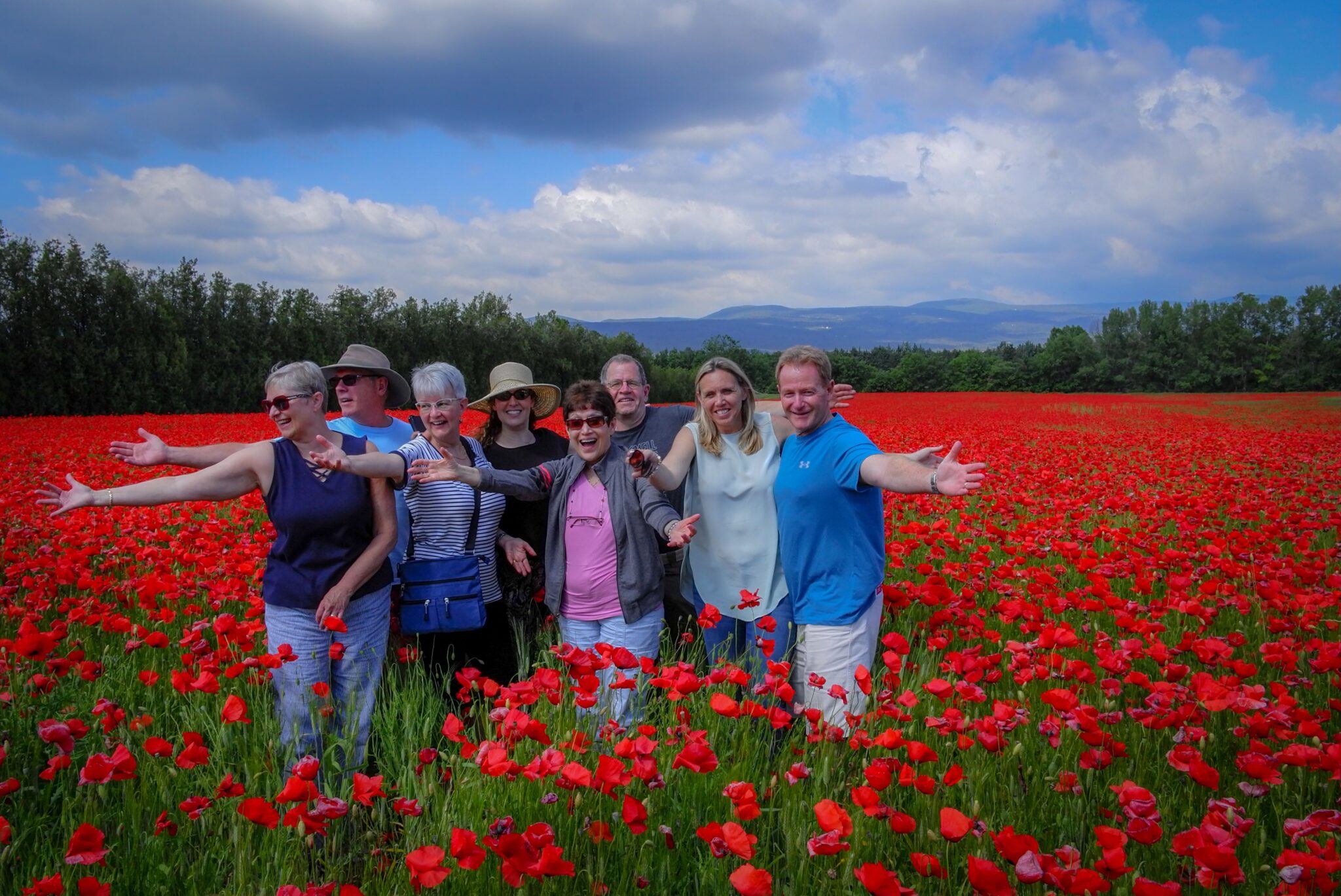 2018-Provence-poppies-2