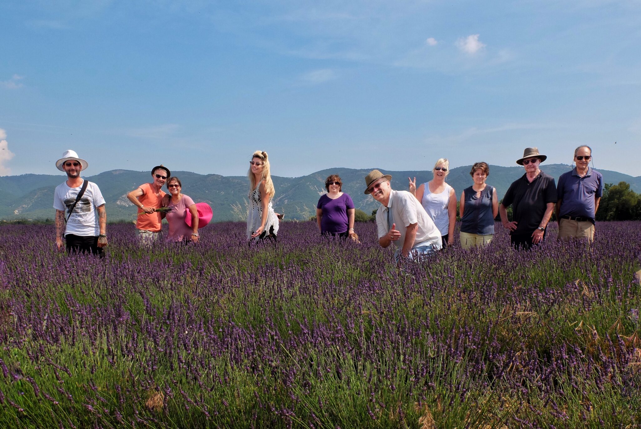 provence-lavender-walk