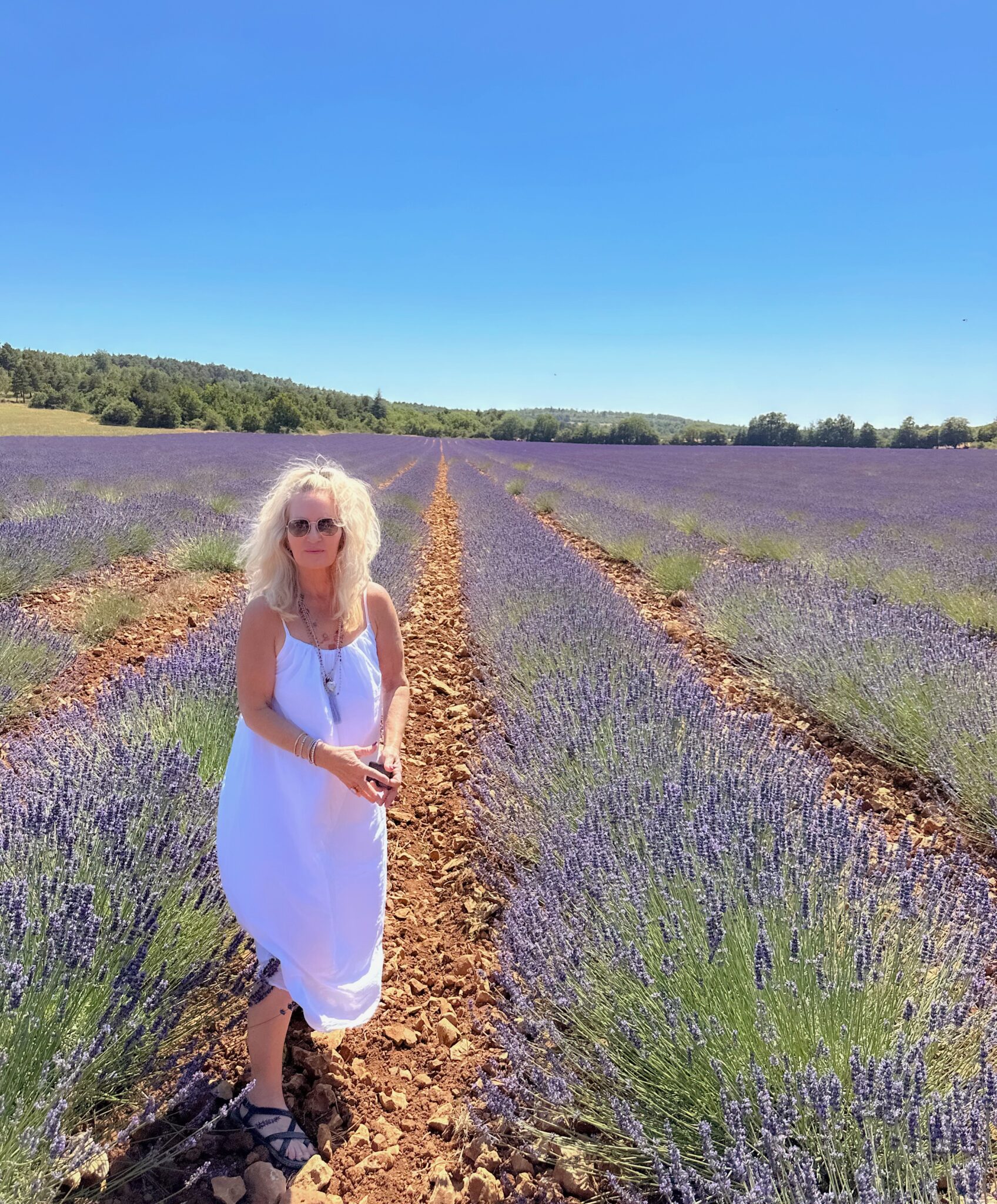 Christy-lavenderfields