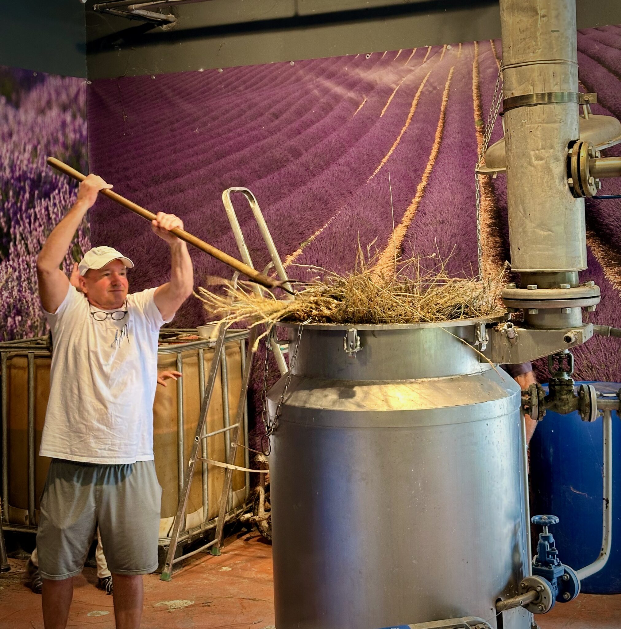 ken-lavender-distillery
