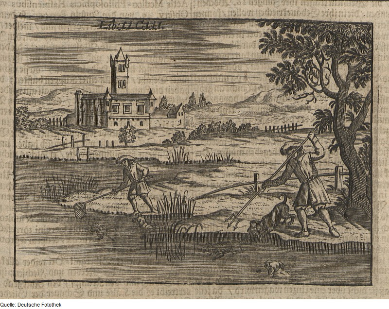 The Beaver Hunt, copper engraving, c. 1695.