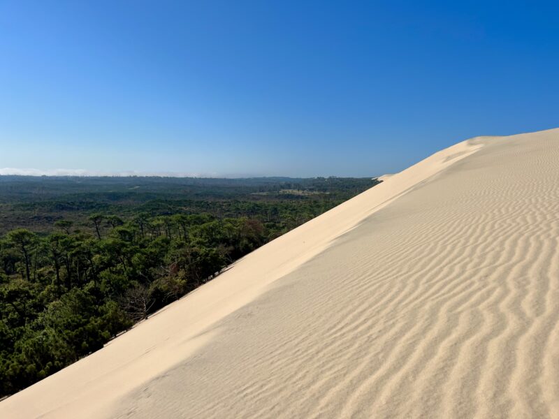 walking the dune, the crest, côté terre.