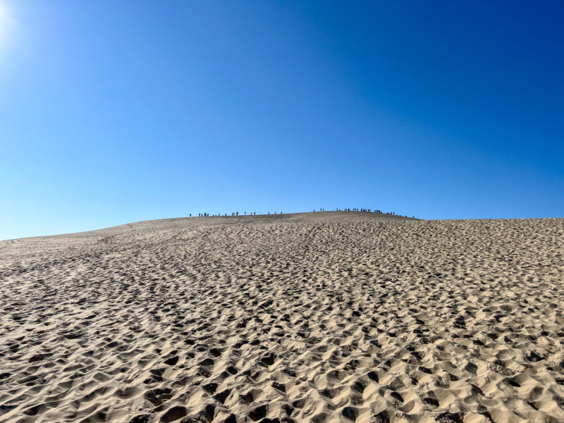 Looking up the dune de Pilat