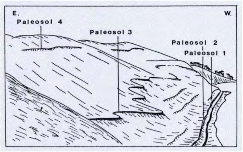 Paleosols of Dune de Pilat.