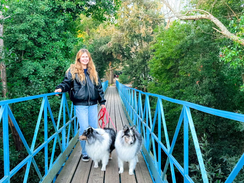 Chloé, Nova, Koa walking across Passerelle Saint-Paul in Arcachon, France. 