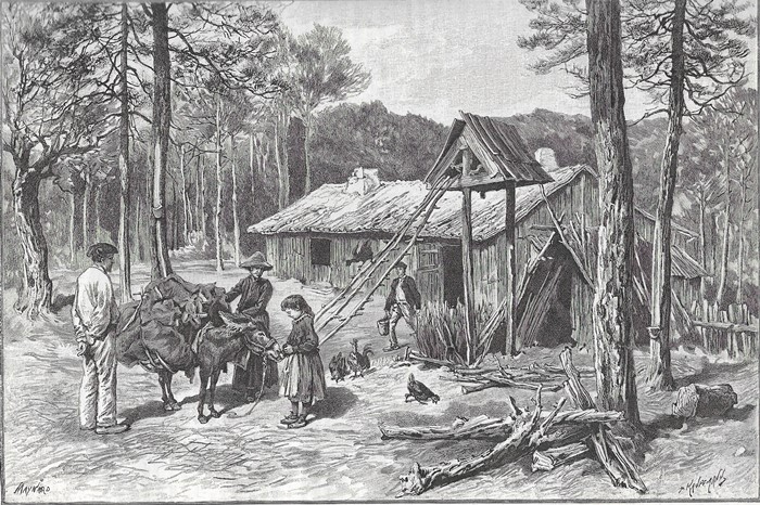 « In Arcachon’s forest », M.P Kauffman (1891)