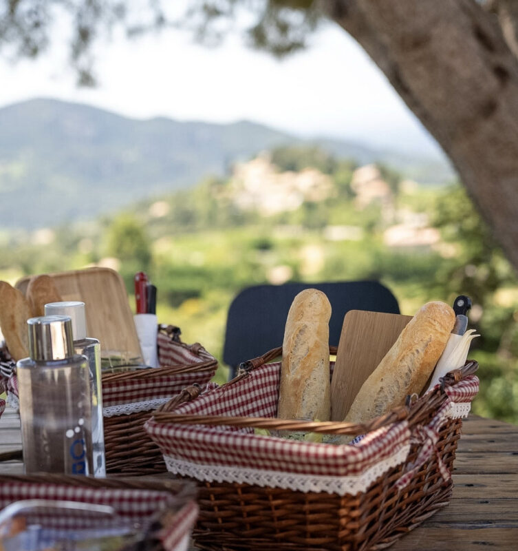 gourmet picnic french style at our winery during France Off the Beaten Path Provence Tours