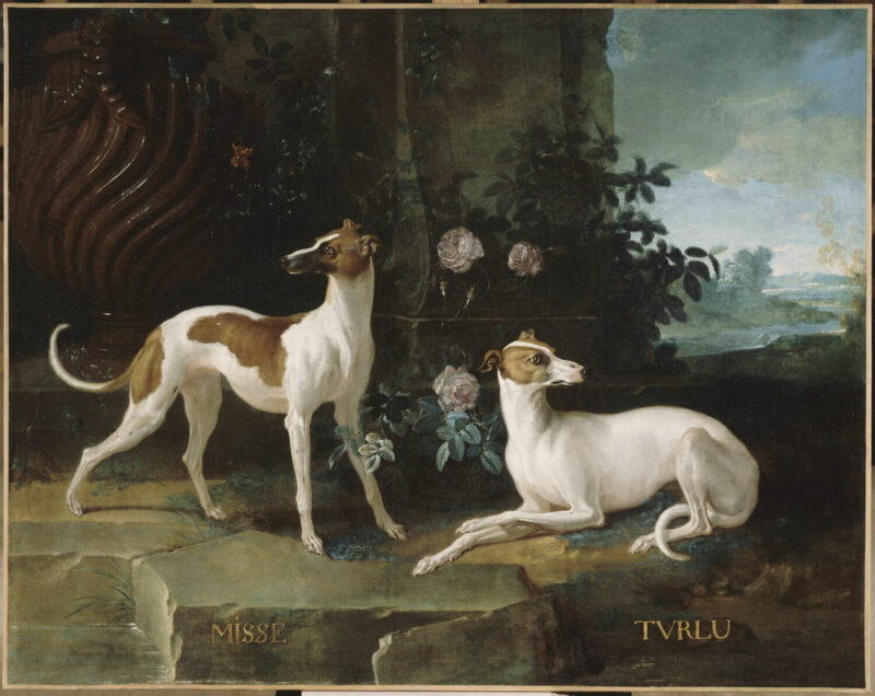 Misse and Turlu, Louis XV's greyhounds by Jean-Baptiste Oudry (1725)
