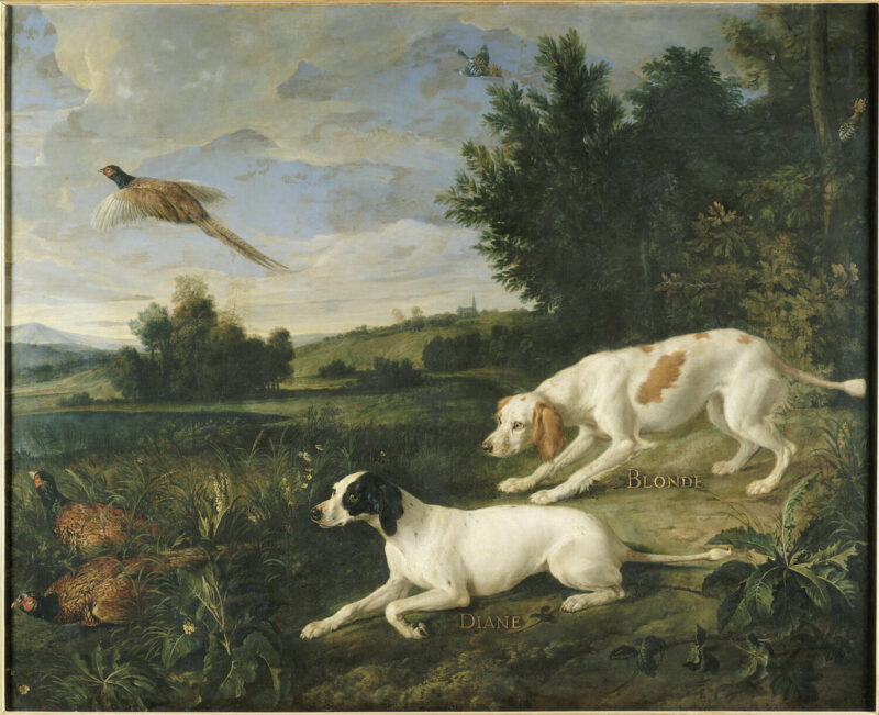 Diane and Blonde, dogs from Louis XIV’s pack, hunting, by François Desportes (1702)