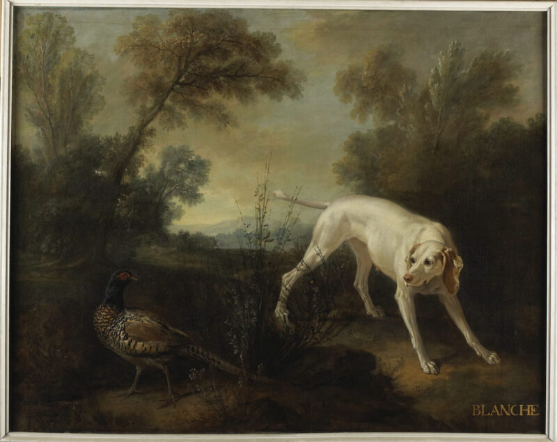 Blanche, a dog from Louis XV's pack by François Desportes (1727)