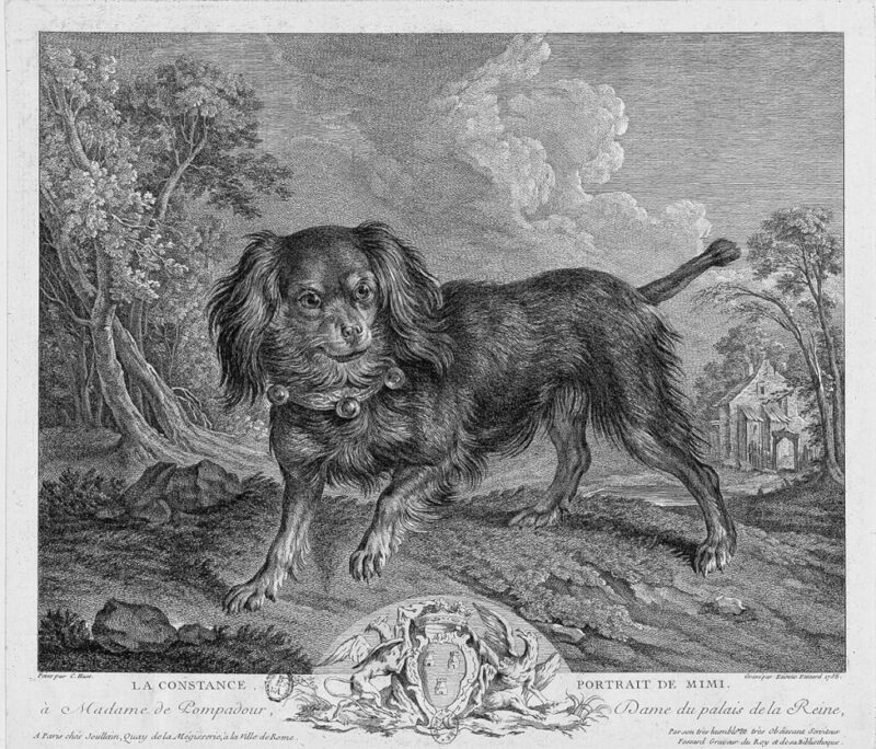 La Constance, Portrait de Mimi, Madame de Pompadour’s spaniel, by Étienne Fessard (1758)