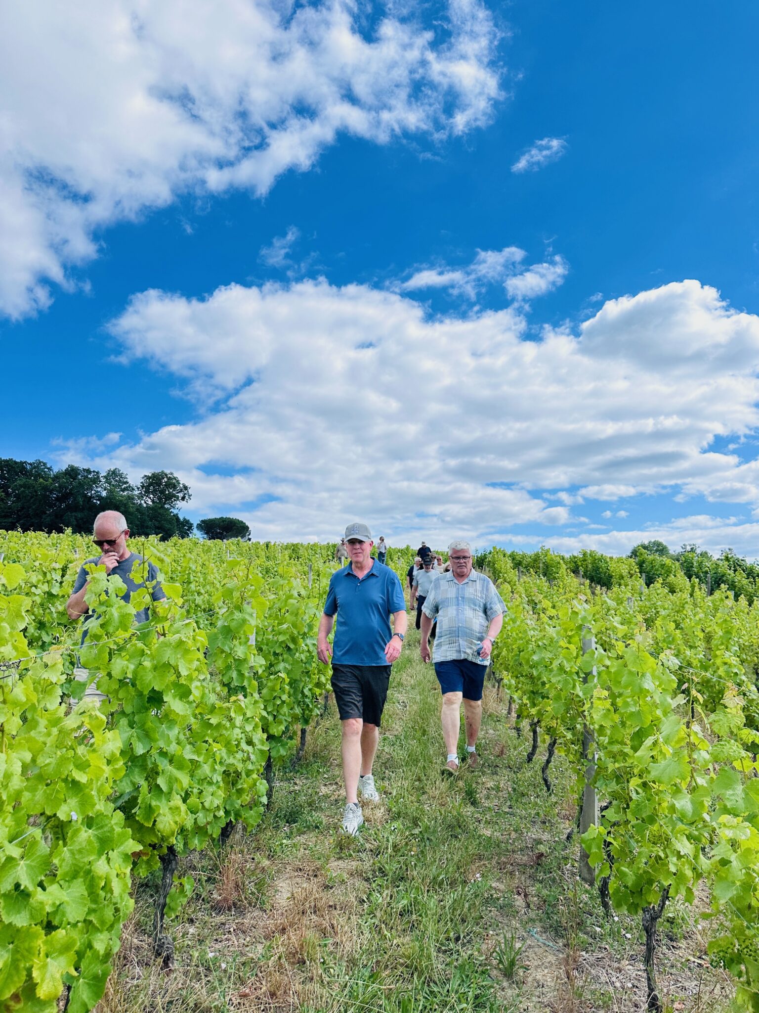 walk-sauternes