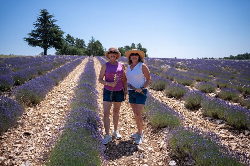 Provenve lavender season walk in lavender country in Provence during our Best Adventures in Provence tour.