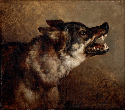 Wolf head. Jacques Raymond Brascassat (1837).