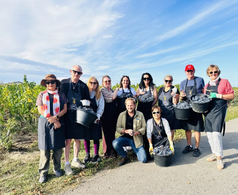 September Bordeaux Tour guests harvesting in Pomerol during France Off the Beaten Path Bordeaux tour